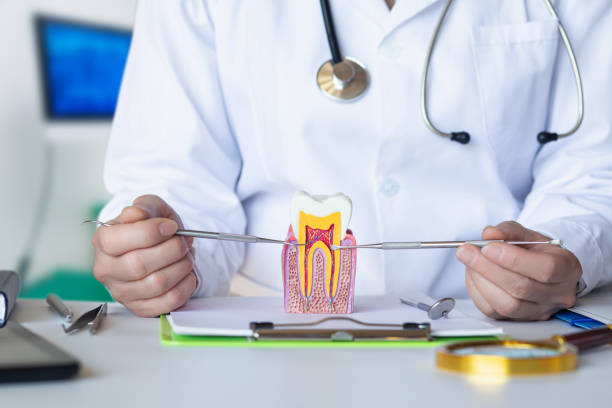 Best Knocked-Out Tooth (Avulsed Tooth) Treatment in Cera, AL